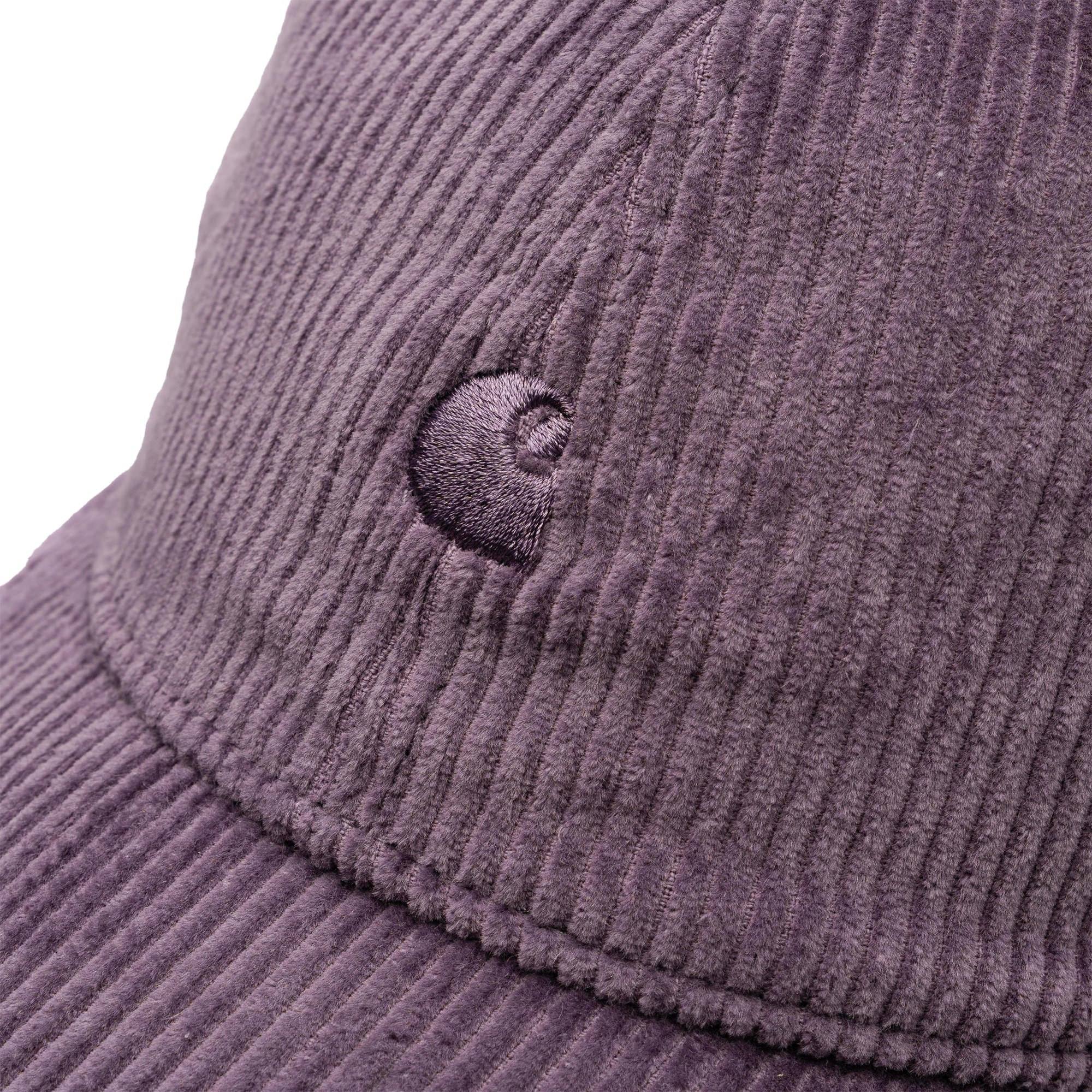 Harlem Cap Phlox I026890