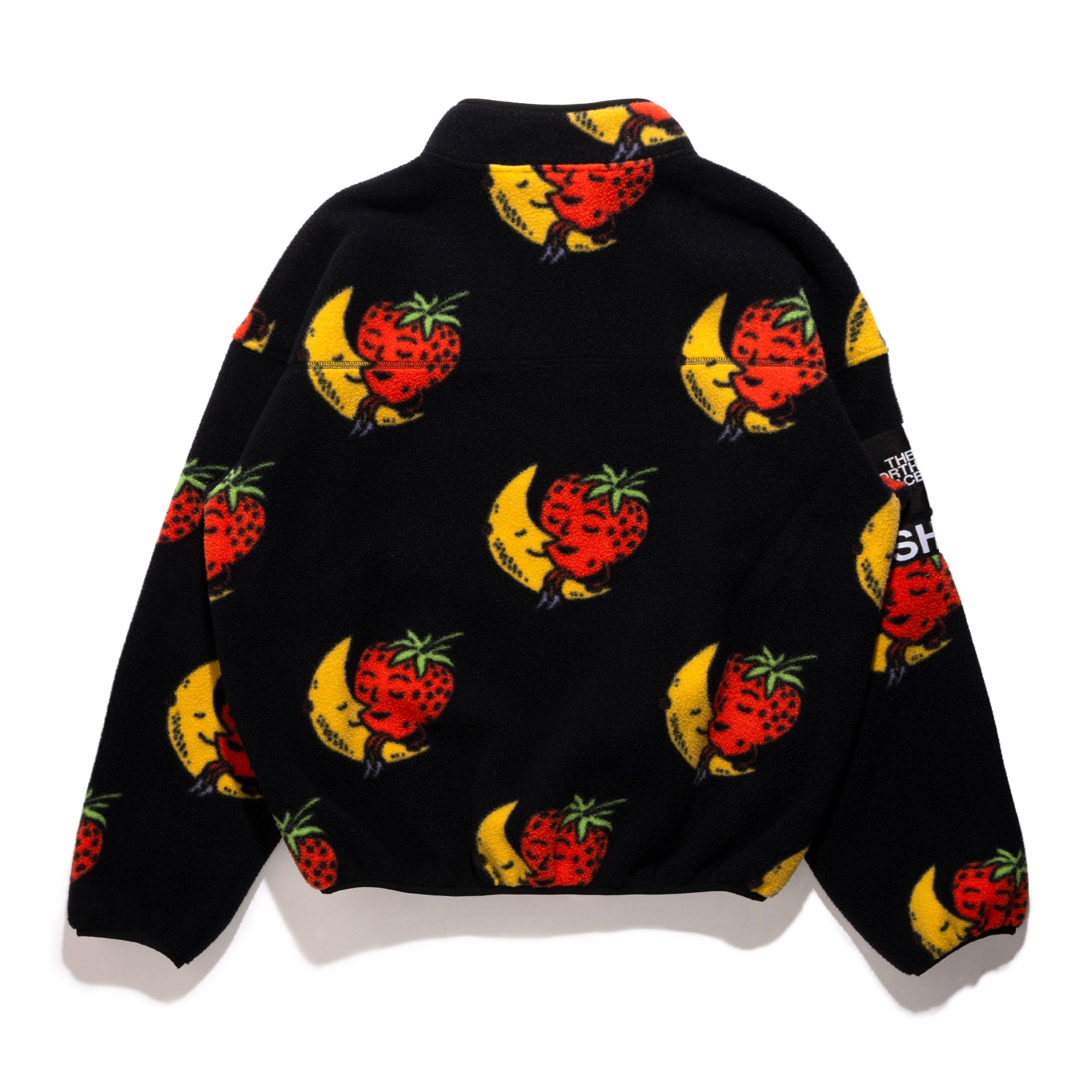 TNF x SHF Fleece 1/2 Zip Pullover Multi NF0A8HNB