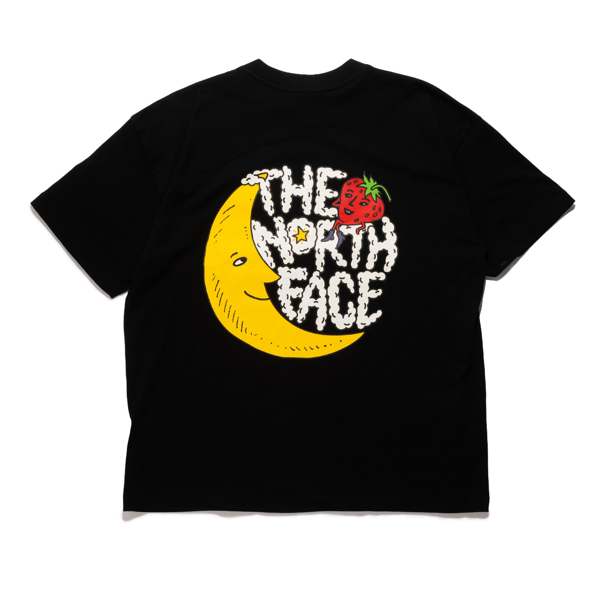 TNF x SHF Tee Black NF0A8HHP – Capsule
