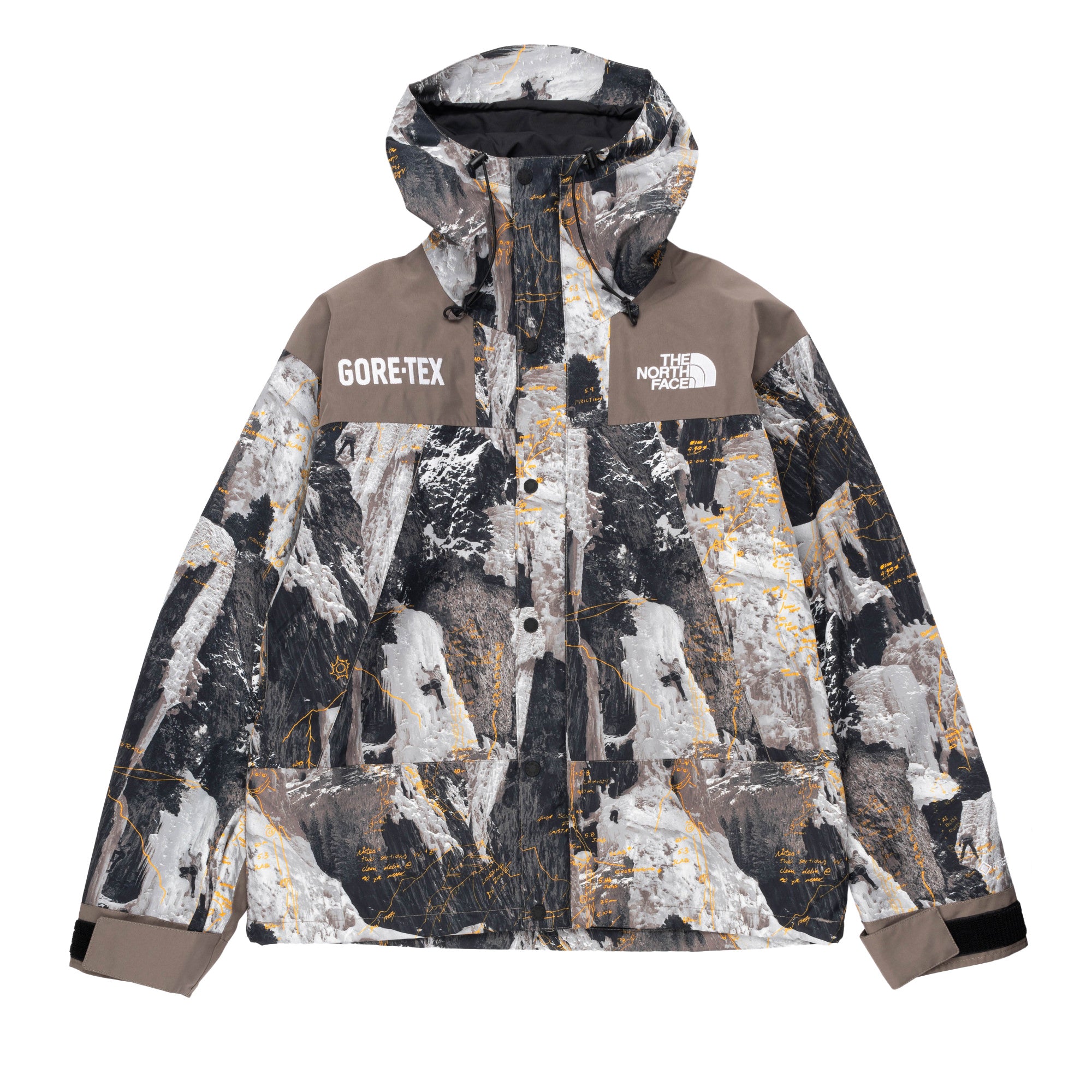 TNF GTX Mountain Jacket Falcon Brown NF0A831M