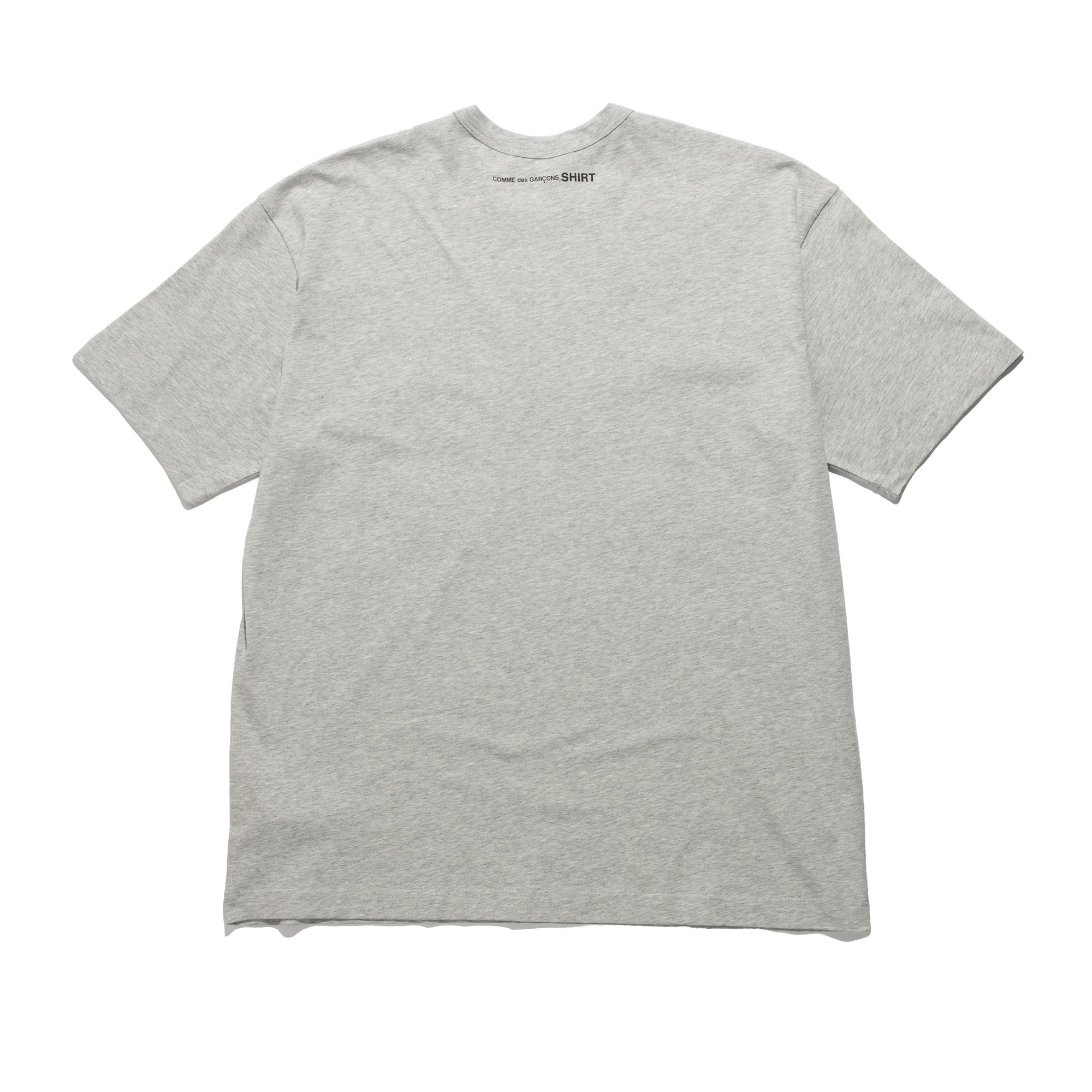 CDG Shirt World Hope T-Shirt Grey FQ-T035-S26-1