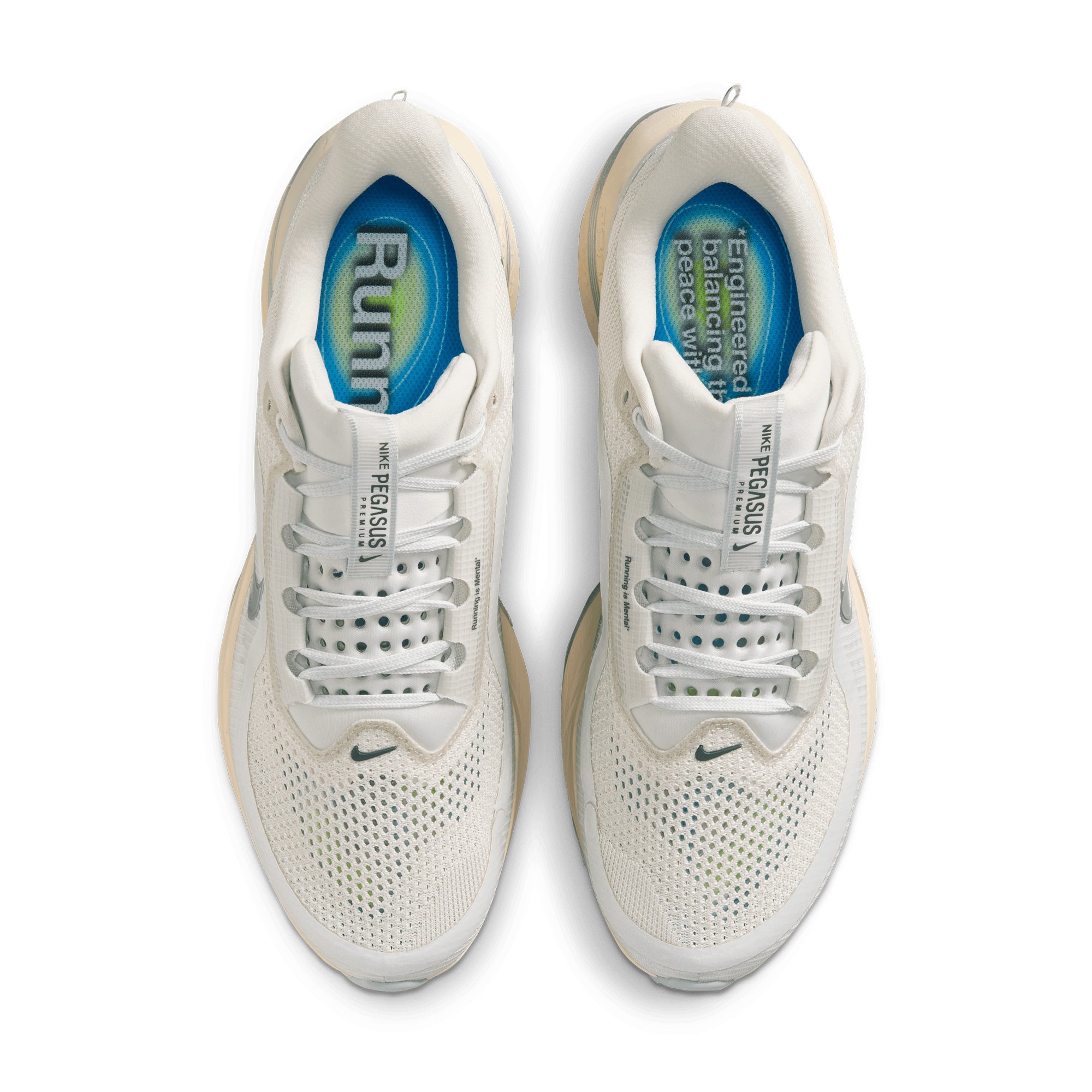 Nike Pegasus Premium Platinum Tint IQ0307-094