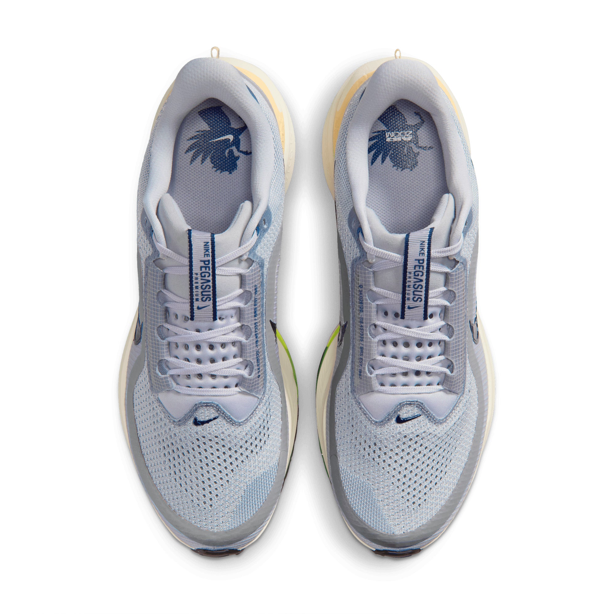 Nike Pegasus Premium WOLF GREY IR1815-012