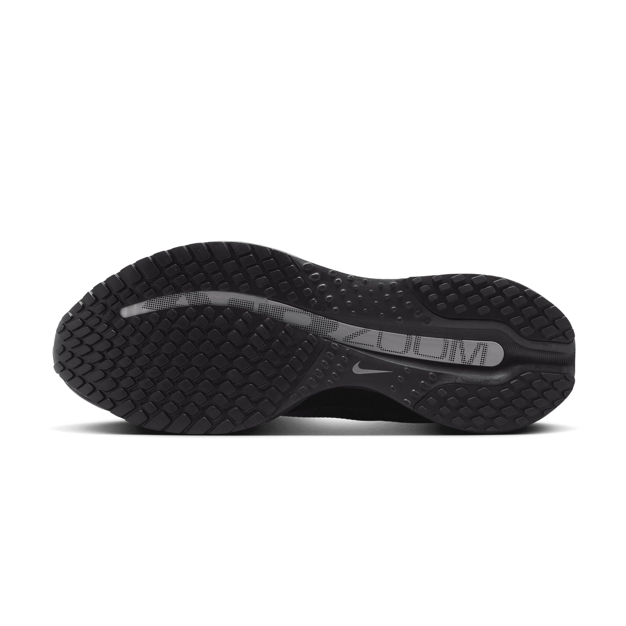 Nike Pegasus Premium Black/Black HQ2592-005