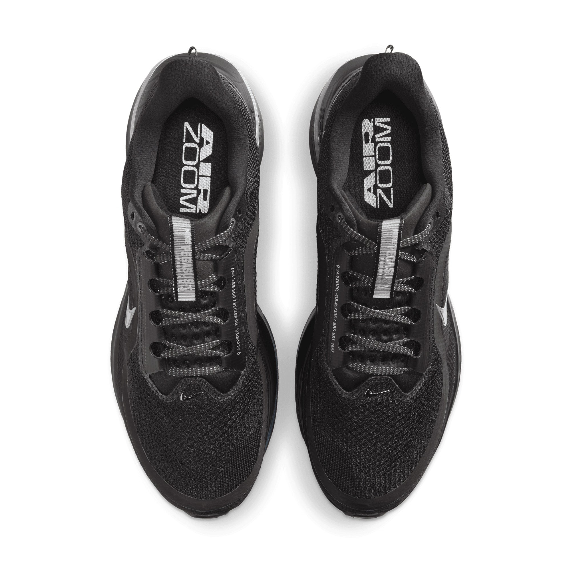 Nike Pegasus Premium Black/Black HQ2592-005