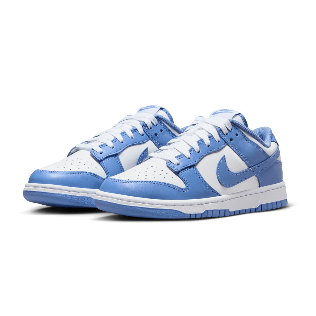 Nike Dunk Low Retro DV0833-400 Polar