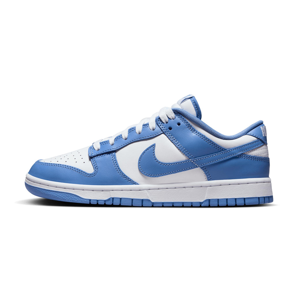 Nike Dunk Low Retro DV0833-400 Polar