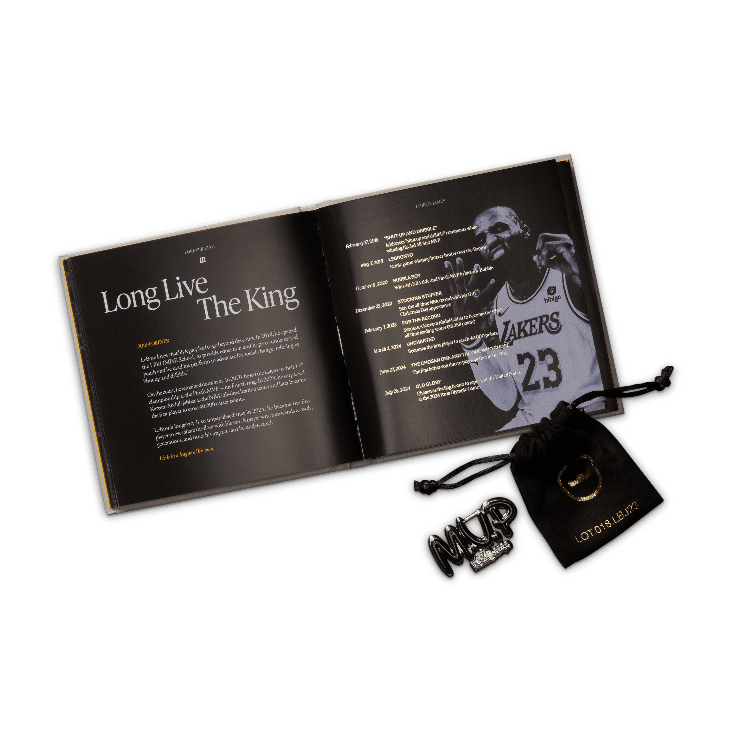 LeBron XXIII Bubble Boy COOL GREY IF0694-002