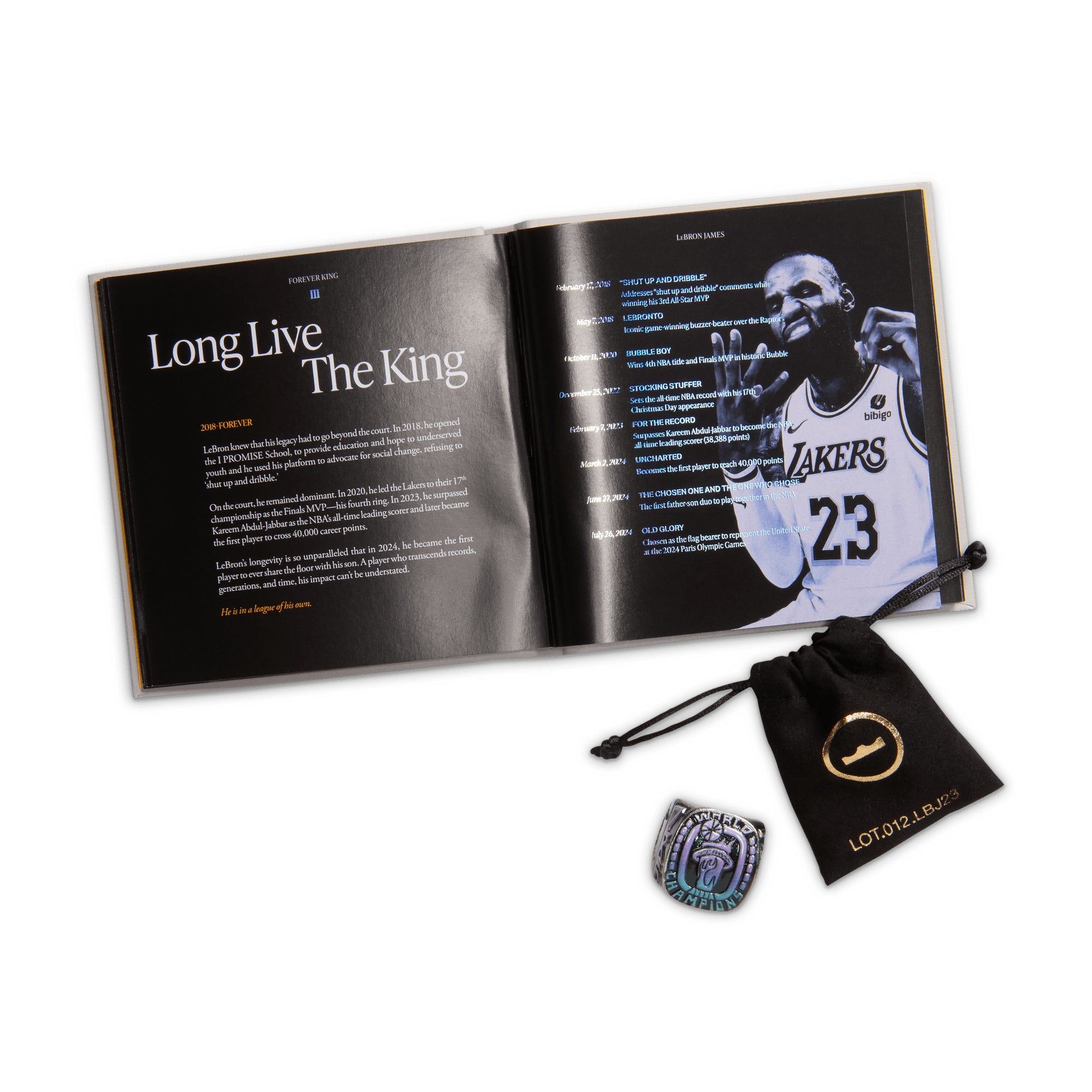 LeBron XXIII Dreams and Nightmares METALLIC SILVER IF0695-001