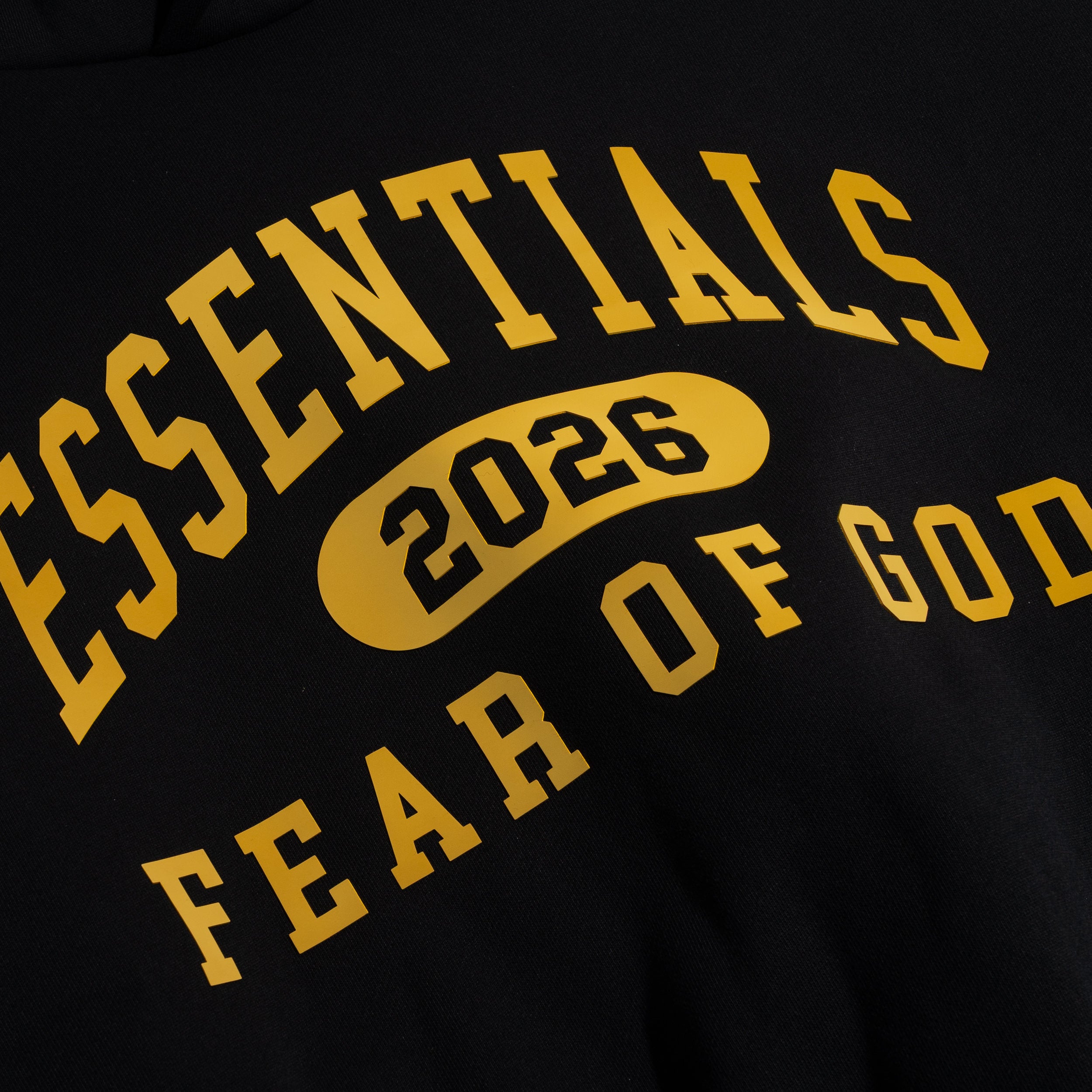 Classic Fleece Hoodie Vintage Black 192HO256861F