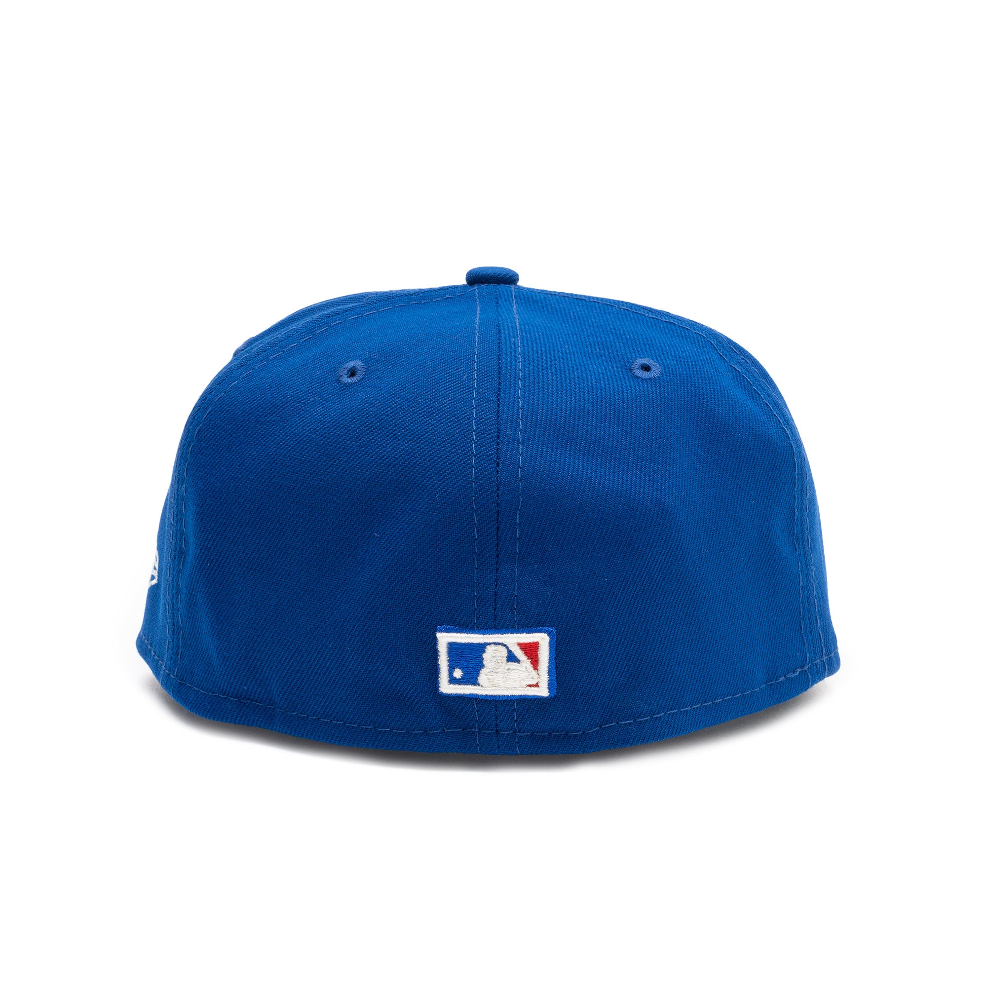 Blue Jays Watercolor Floral Blue