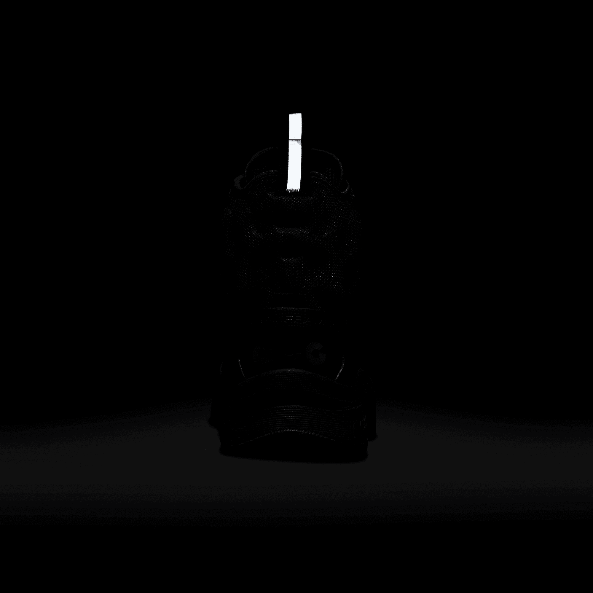ACG Zoom Gaiadome GTX DD2858-001 Black