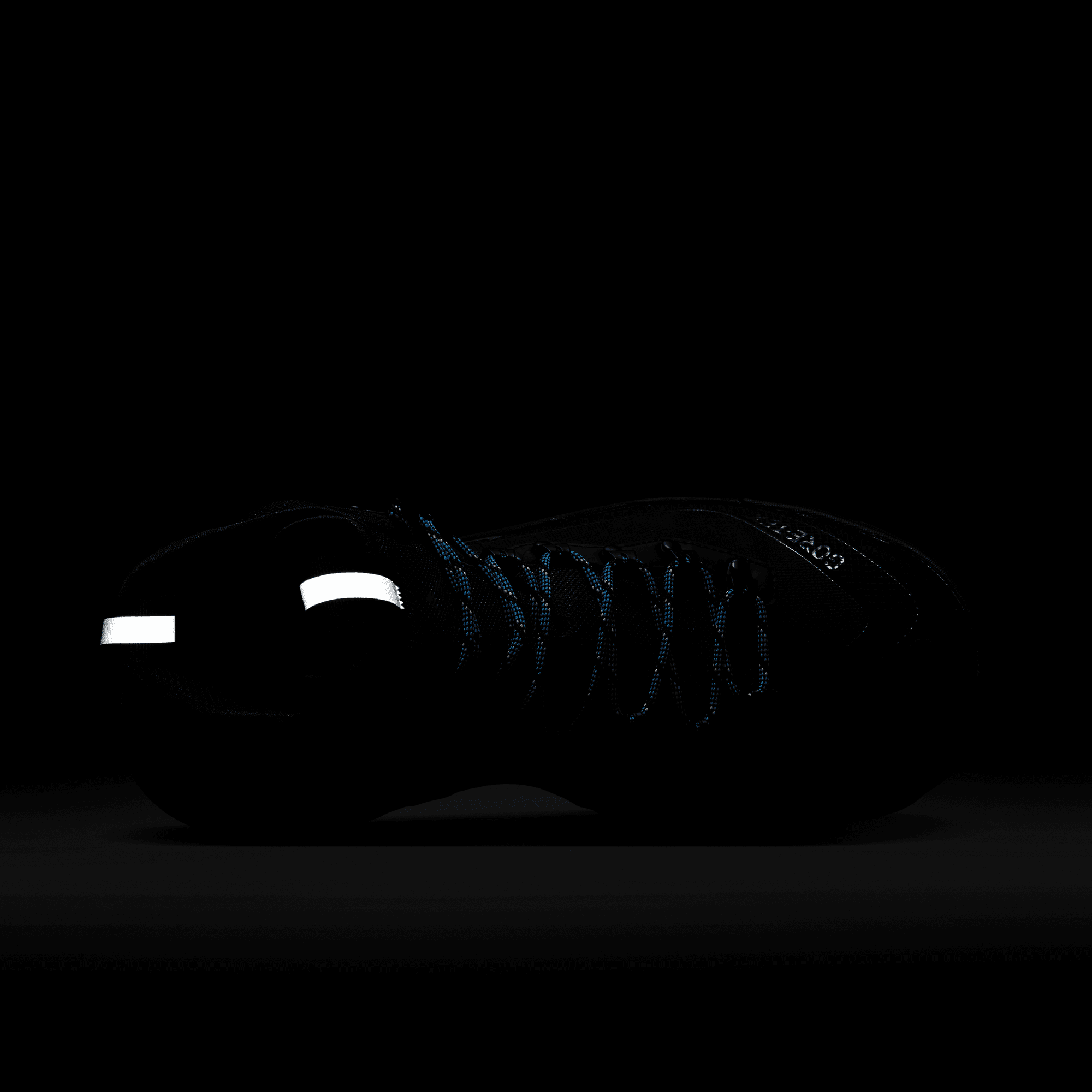 ACG Zoom Gaiadome GTX DD2858-001 Black